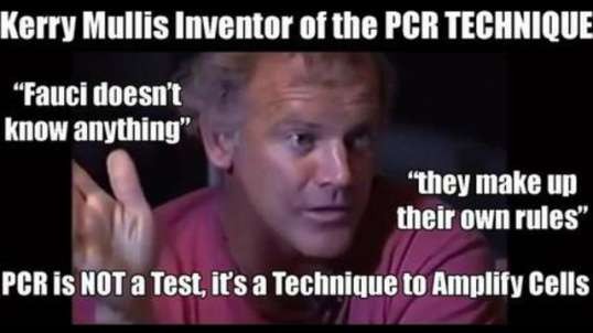 Kary Mullis PCR TECHNIQUE Inventor: People are Misinterpreting It. It is NOT for Diagnostics.
